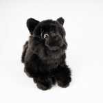 kotek mały czarny