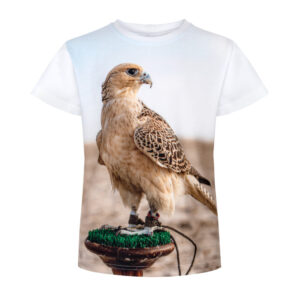 sokół myśliwski, piękny falcon na koszulce, sokół na koszulce